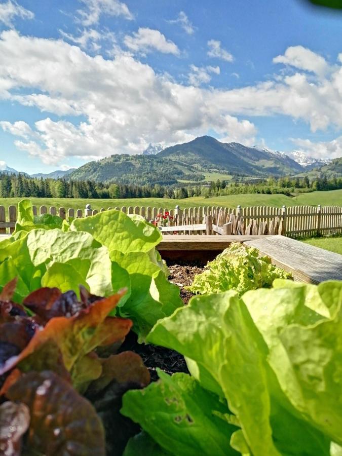 Landhaus Bergblick Кессен Екстер'єр фото