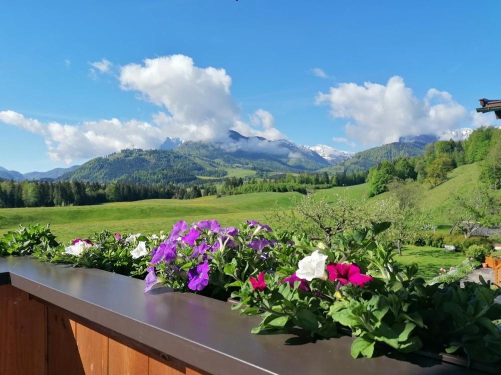 Landhaus Bergblick Кессен Екстер'єр фото